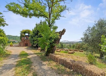 Terreno - Villa via Godio, Castelletto Merli - foto 35