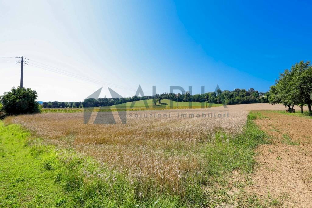 Terreno - Terreno agricolo via Malguaia, Forlì - foto 2