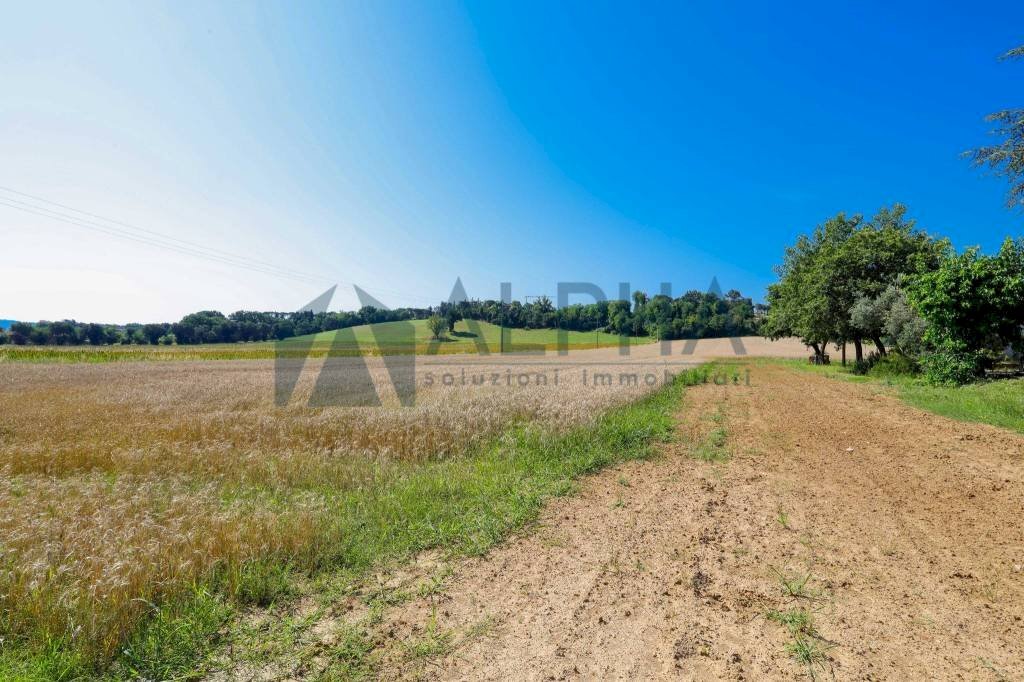 Terreno - Terreno agricolo via Malguaia, Forlì - foto 3