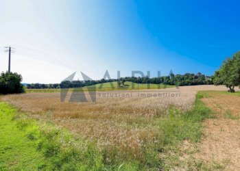 Terreno - Agricultural land via Malguaia, Forlì - photo 2