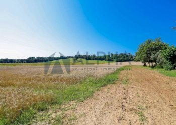 Terreno - Agricultural land via Malguaia, Forlì - photo 3
