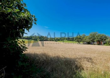 Terreno - Agricultural land via Malguaia, Forlì - photo 4