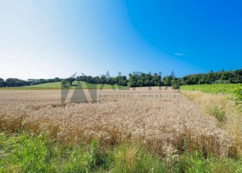 Terreno - Agricultural land via Malguaia, Forlì - photo 7