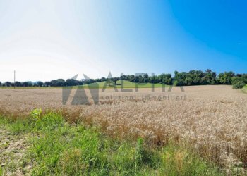 Terreno - Agricultural land via Malguaia, Forlì - photo 8