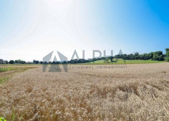 Terreno - Agricultural land via Malguaia, Forlì - photo 9