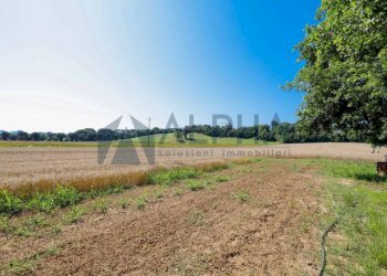 Terreno - Agricultural land via Malguaia, Forlì - photo 10