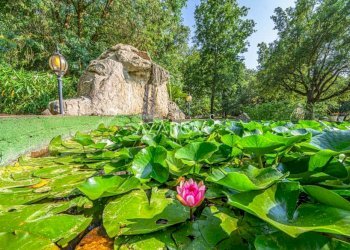 Villa Latina - foto 18