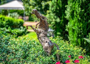 Villa Roma - foto 65