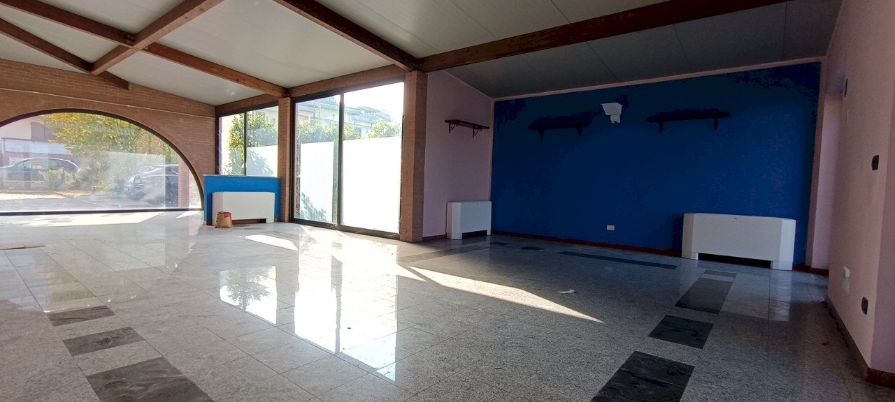 Negozio Felino - foto 1