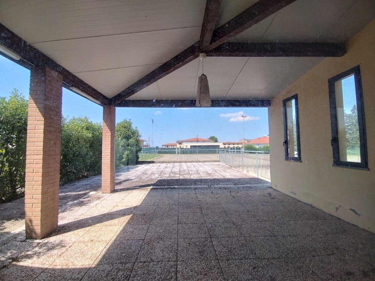 Negozio Felino - foto 2