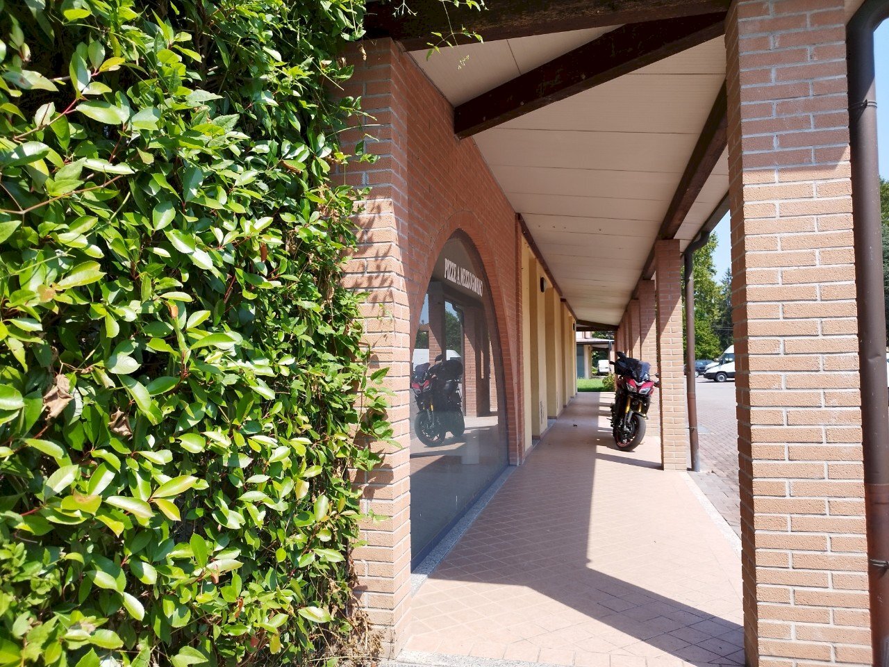 Negozio Felino - foto 3