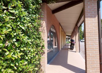 Shop Felino - photo 3