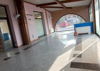 Shop Felino - photo 5