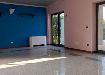 Shop Felino - photo 7