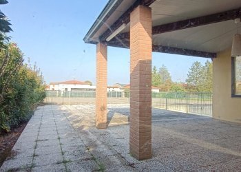 Shop Felino - photo 12