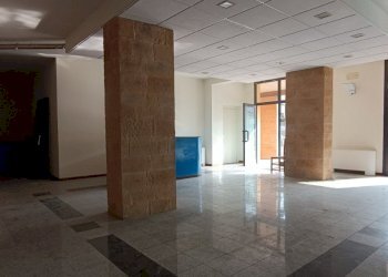 Shop Felino - photo 13