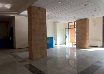 Shop Felino - photo 14