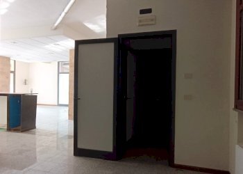 Shop Felino - photo 15