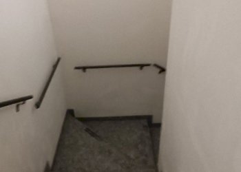 Shop Felino - photo 16