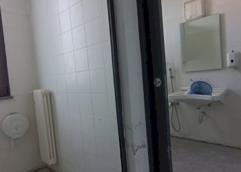 Shop Felino - photo 18