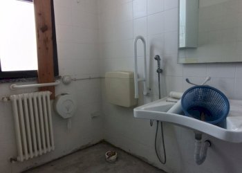 Shop Felino - photo 20