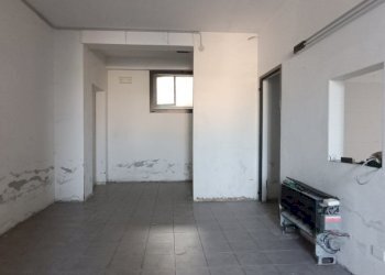 Shop Felino - photo 22