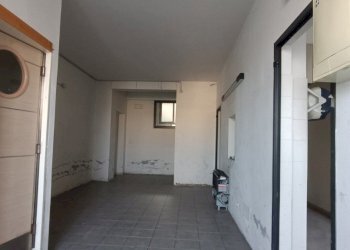 Shop Felino - photo 23