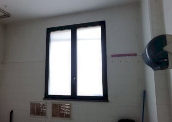 Shop Felino - photo 24