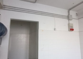 Shop Felino - photo 25