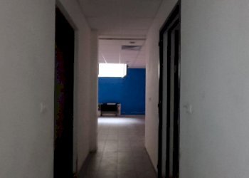 Shop Felino - photo 26