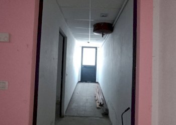 Shop Felino - photo 30