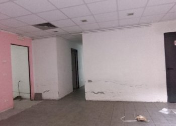 Shop Felino - photo 31