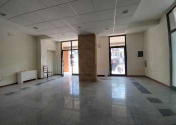 Shop Felino - photo 32