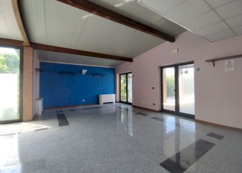 Shop Felino - photo 33