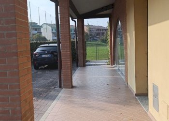 Shop Felino - photo 34