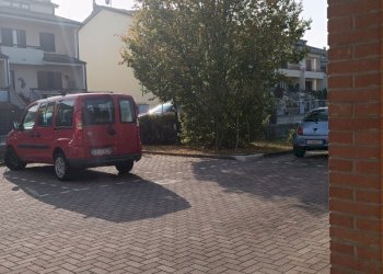 Shop Felino - photo 35