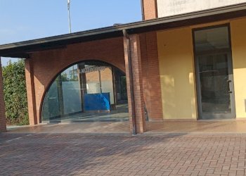 Shop Felino - photo 36