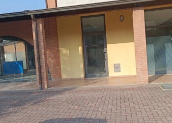 Shop Felino - photo 37