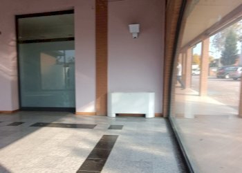 Shop Felino - photo 38