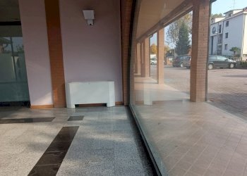 Shop Felino - photo 39