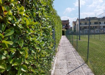 Shop Felino - photo 42