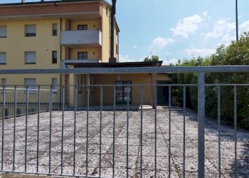 Shop Felino - photo 43