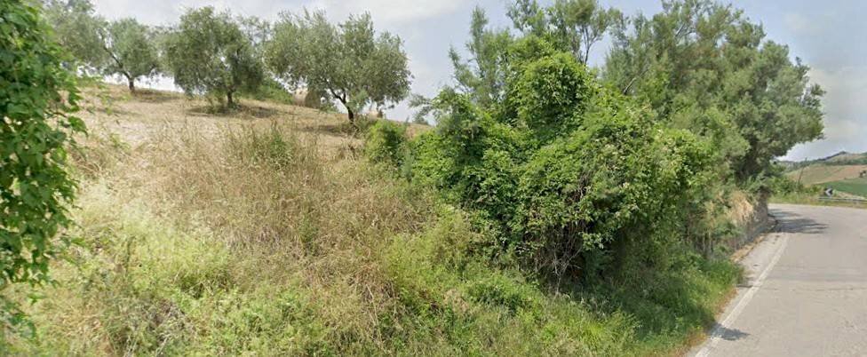 Foto 3 - Terreno agricolo Via Roma S. Mauro, Bellante - foto 3