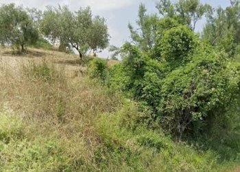 Foto 3 - Terreno agricolo Via Roma S. Mauro, Bellante - foto 3