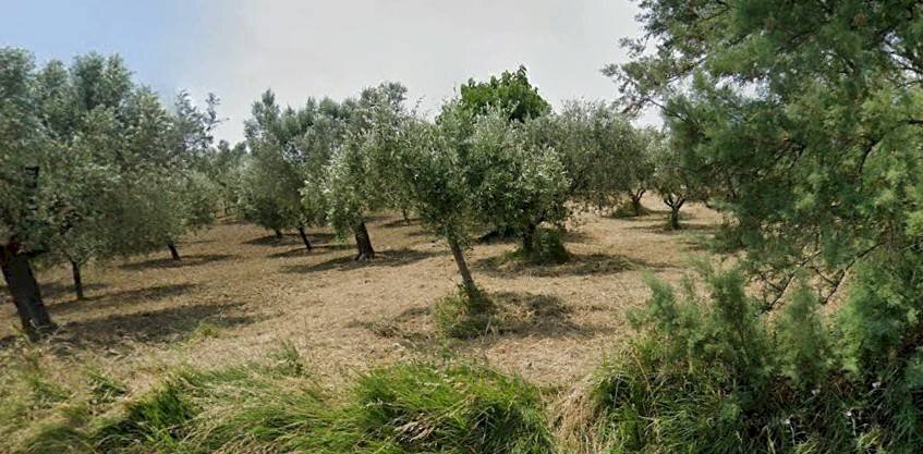 Foto 2 - Terreno agricolo Via Roma S. Mauro, Bellante - foto 2