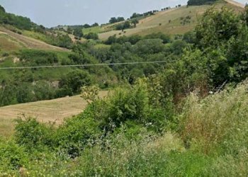 Foto 7 - Terreno agricolo Via Roma S. Mauro, Bellante - foto 7