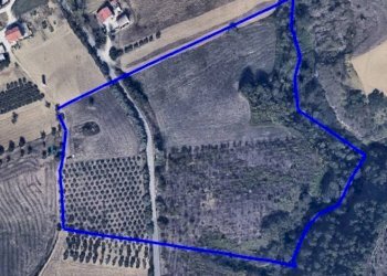 Foto 8 - Terreno agricolo Via Roma S. Mauro, Bellante - foto 8