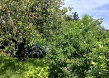 Terreno - Villa via Giuseppe Verdi, Orino - foto 4