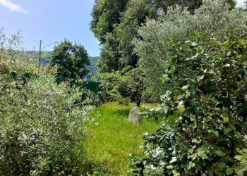 Terreno - Villa via Giuseppe Verdi, Orino - foto 5