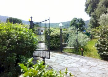 Giardino - Villa via Giuseppe Verdi, Orino - foto 11